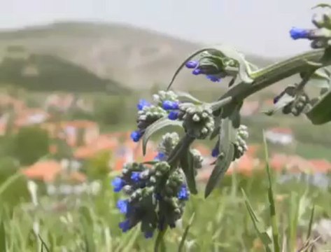 Çankırı ÇANKIRI MEMLEKETİM ÇANKIRI MERKEZ İLÇELER KÖYLER