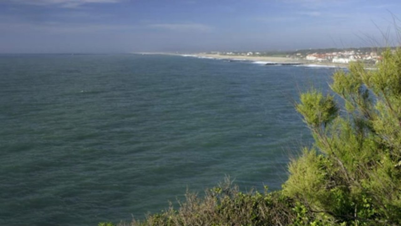 4b - Le gouf de Capbreton