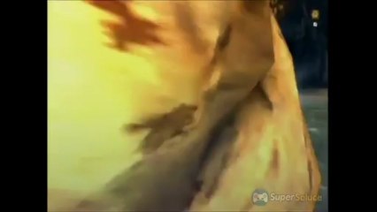 Soluce Monster Hunter 3 Ultimate : Sauvons notre navire