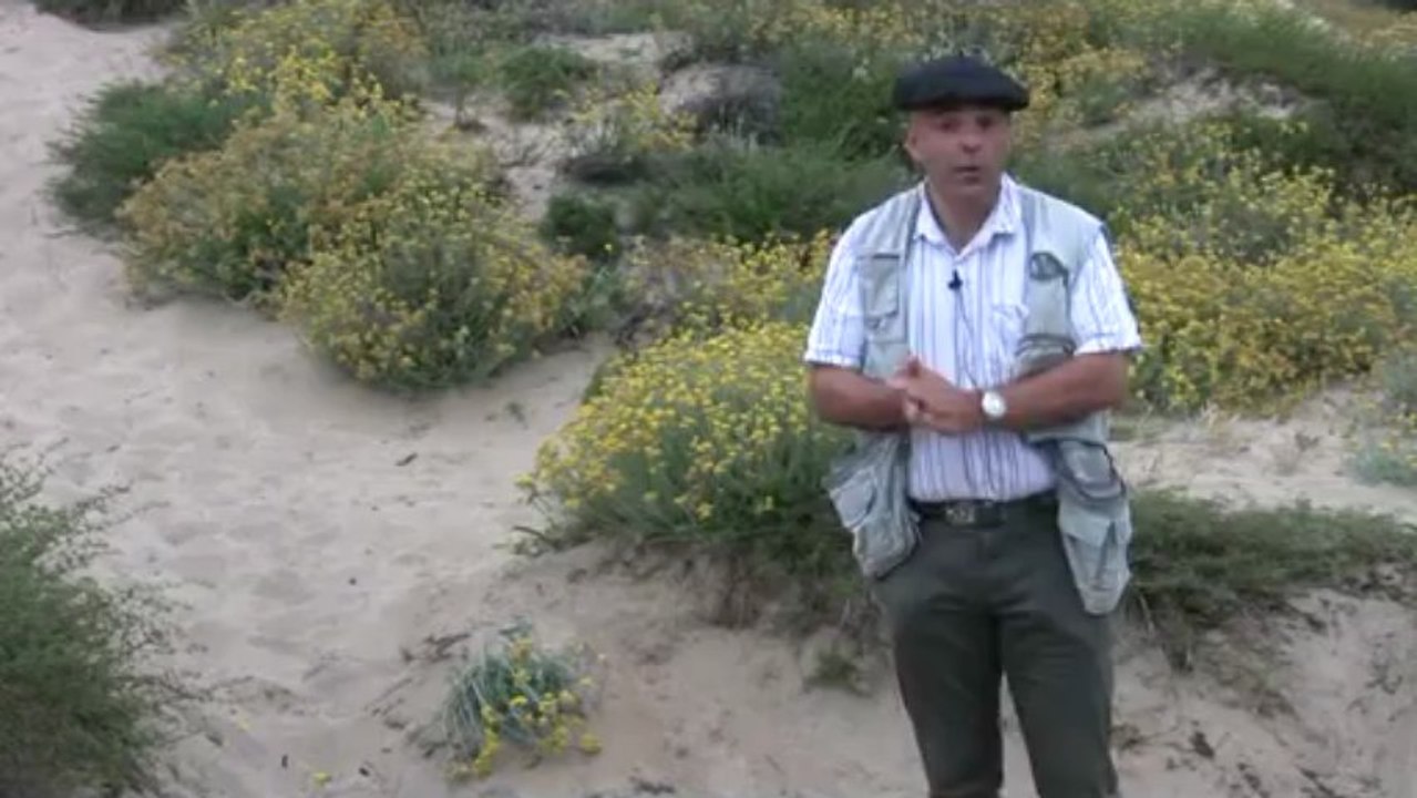 6b - La formation  des dunes