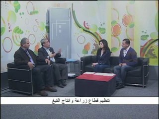 فلسطين هذا الصباح 28_3 (1)