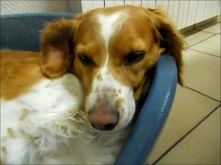 Anniversaire Bianca (27/O3/13)