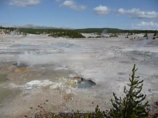 Yellowstone N.P. USA