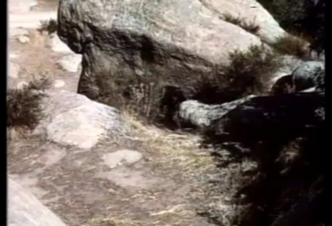 Classic 50s TV Part 13