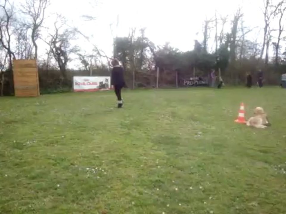 exercice d obéissance !!