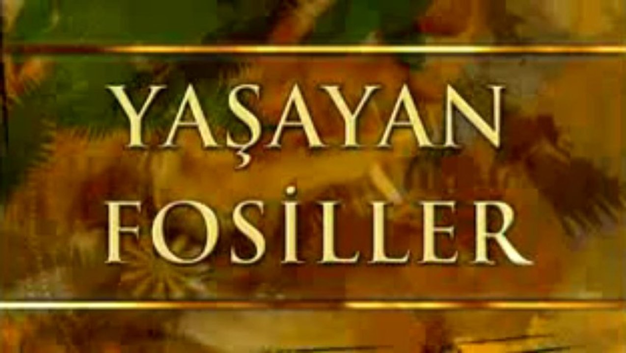 Yasayan Fosiller-Uzun boynuzlu cekirge