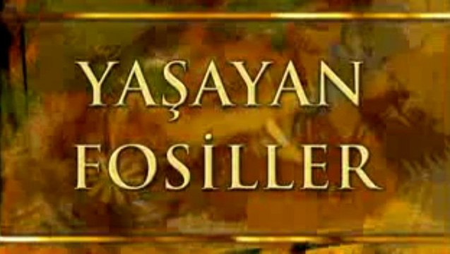 Yasayan Fosiller-Yaban Arisi