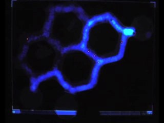 Do Ants Need to Estimate the Geometrical Properties of Trail Bifurcations to Find an Efficient Route? A Swarm Robotics Test Bed