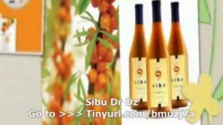 Sibu Dr Oz : Internet User reviews Sibu Dr Oz