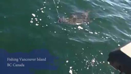 Fishing highlights BC Canada