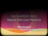 Sibu Oxygen : Low Code Sibu Oxygen