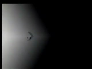 Otomatik Koyun Sağım İşlemi