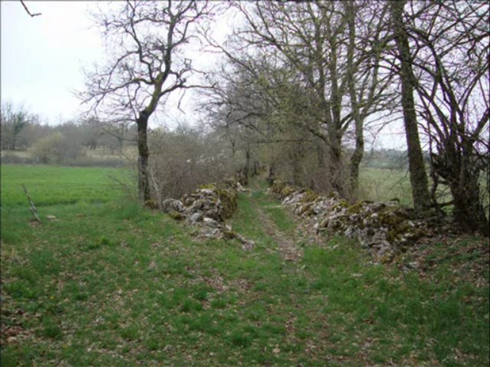 Mas de l'Artillou (Espédaillac)