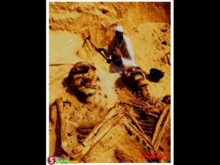 قوم عاد