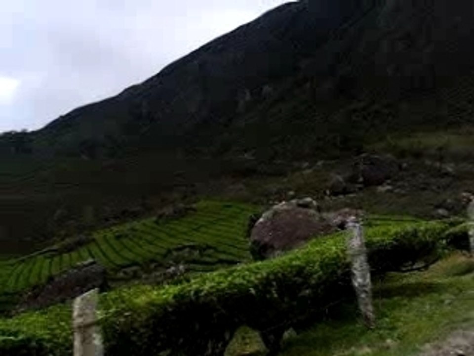 MVI_3288