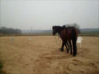 déplacer les épaules, contrer les mordilleurs