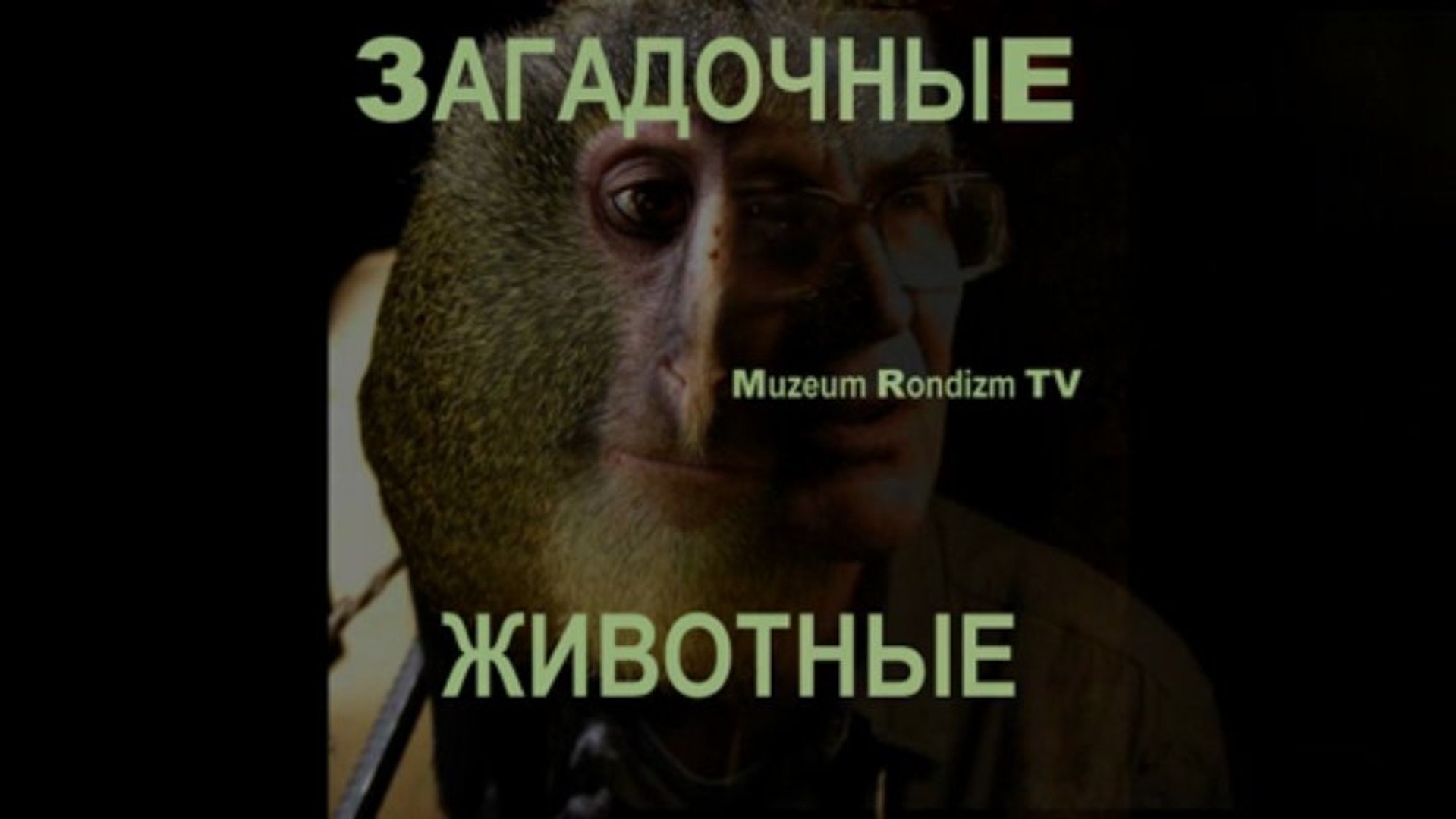 ⁣УДИВИТЕЛЬНЫЕ новые ЖИВОТНЫЕ * Film Muzeum Rondizm ТВ