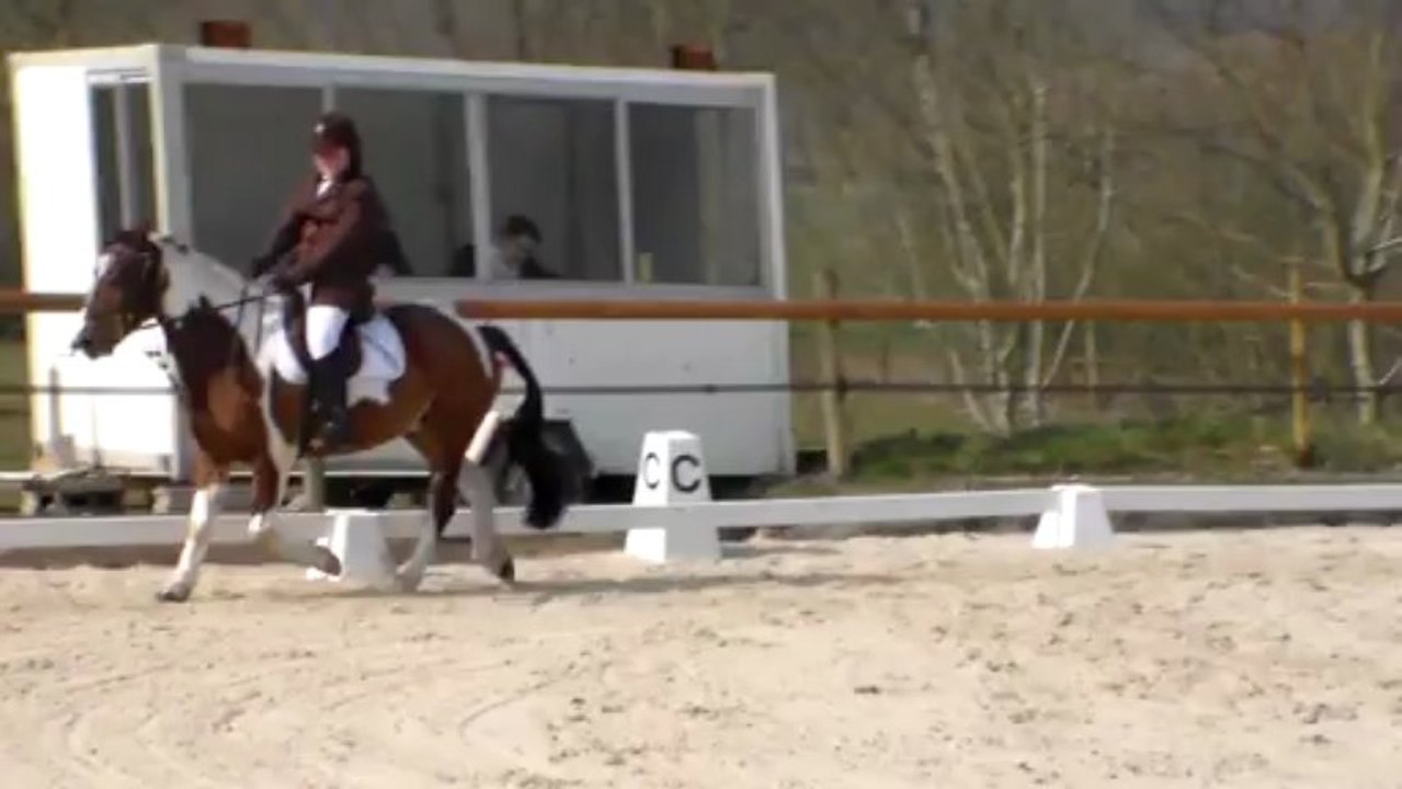 31 03 2013 - Dressage Varnéville Club 3 - Margaux et Pinocchio