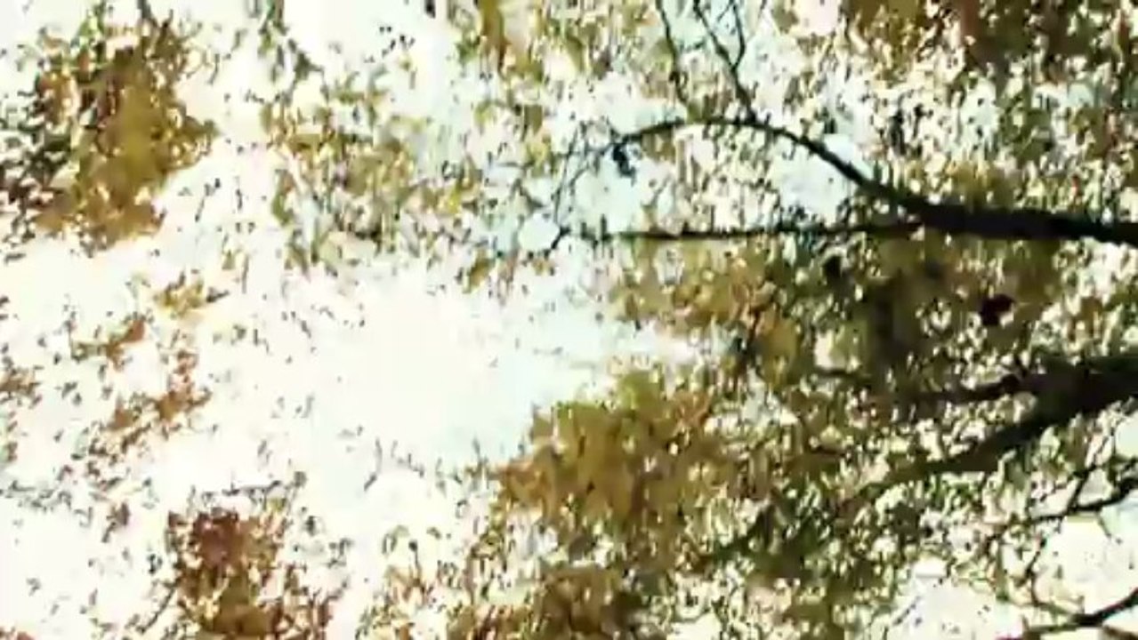 Henry Gaye - Adrenaline. HD