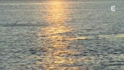 Géants des profondeurs