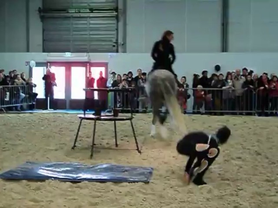 l'araignée et le cheval