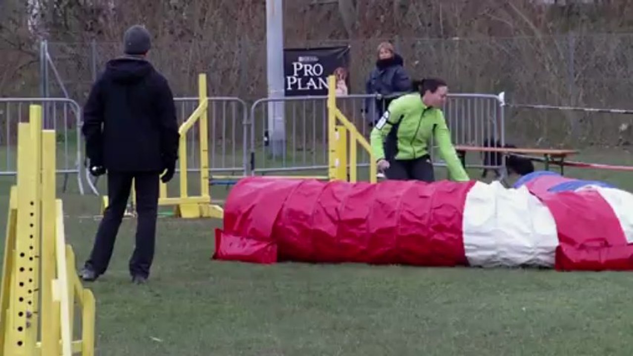Bischeim Jumping +