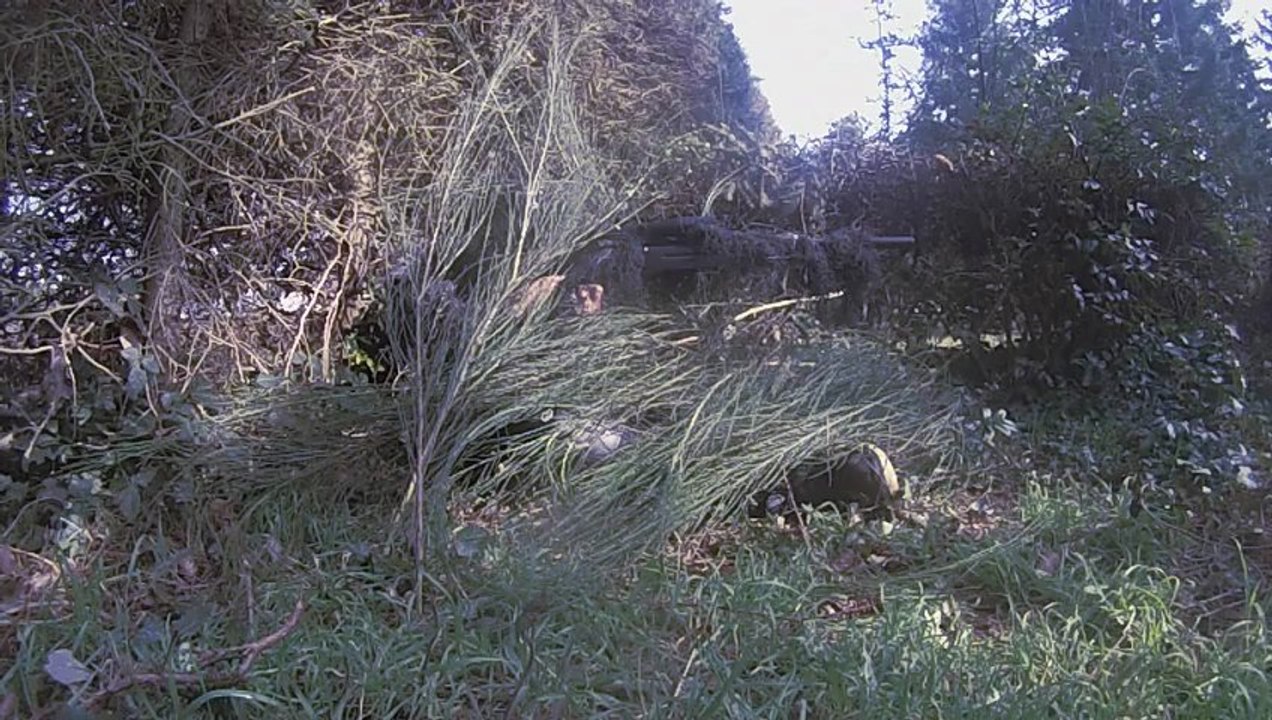 section 6