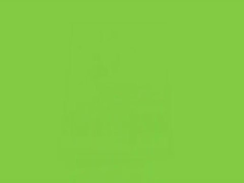 swap mars 2013 la fête foraine