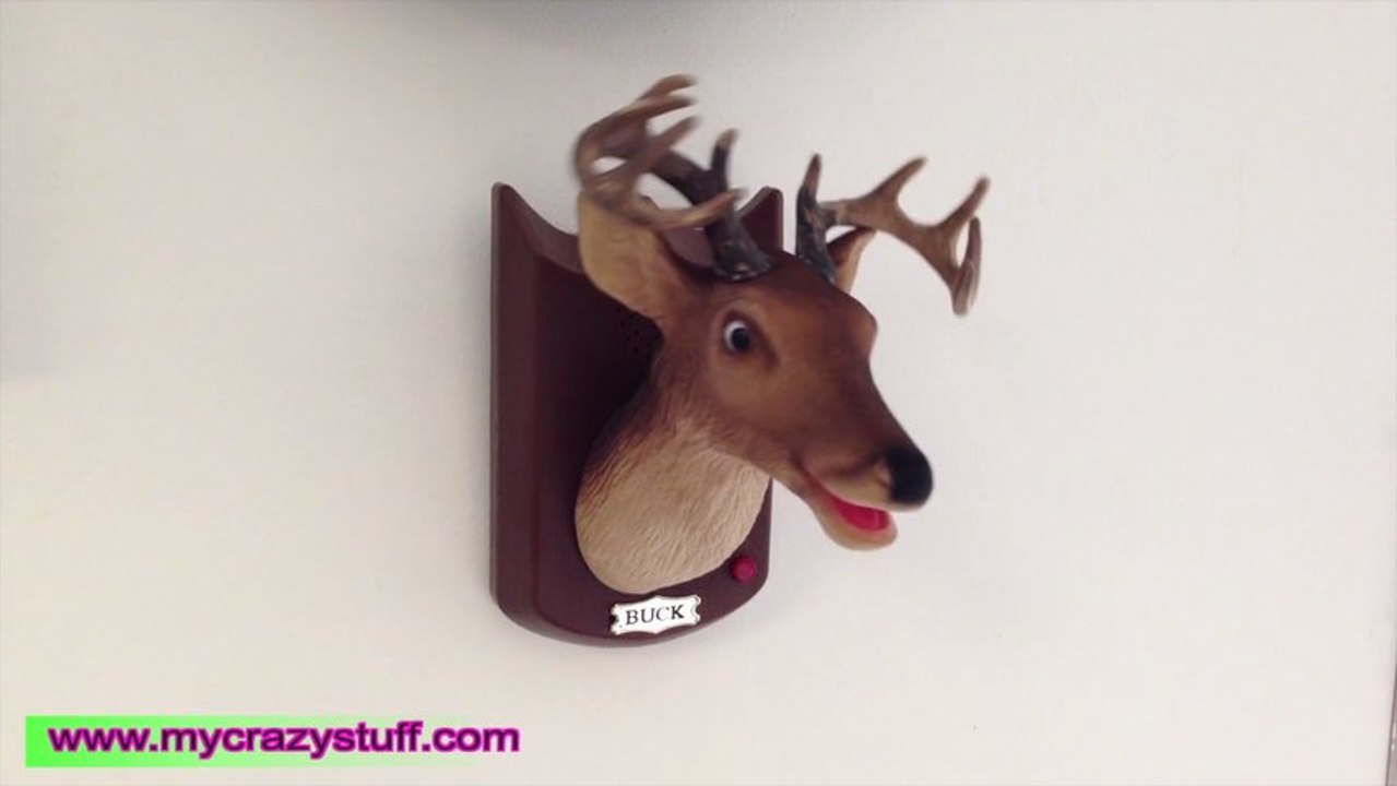 Cerf chantant - Mycrazystuff.com