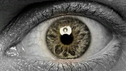 Shutter Speed Priority with Low ISO Experiment X