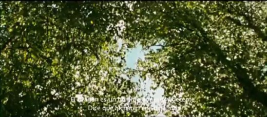 4 días de Mayo - Tráiler Español HD [1080p]