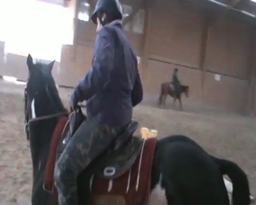 western écuries tréhémont