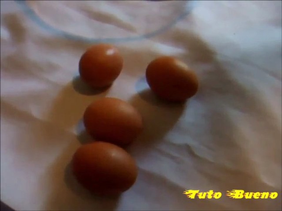 L'oeuf