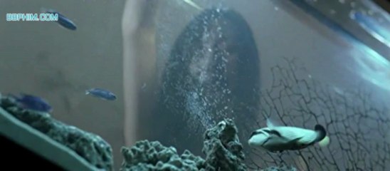 The.Sniper (1)_clip5