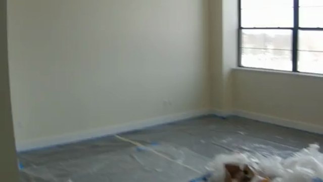 Worcester, Ma job 1-904-501-9990 interior painting contractor