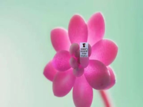 StarCraft II Heart of the Swarm ® Keygen Crack + Torrent FREE DOWNLOAD / GENERATEUR DE CODE