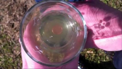 Clarity in our Greatest Natural Resource FINAL