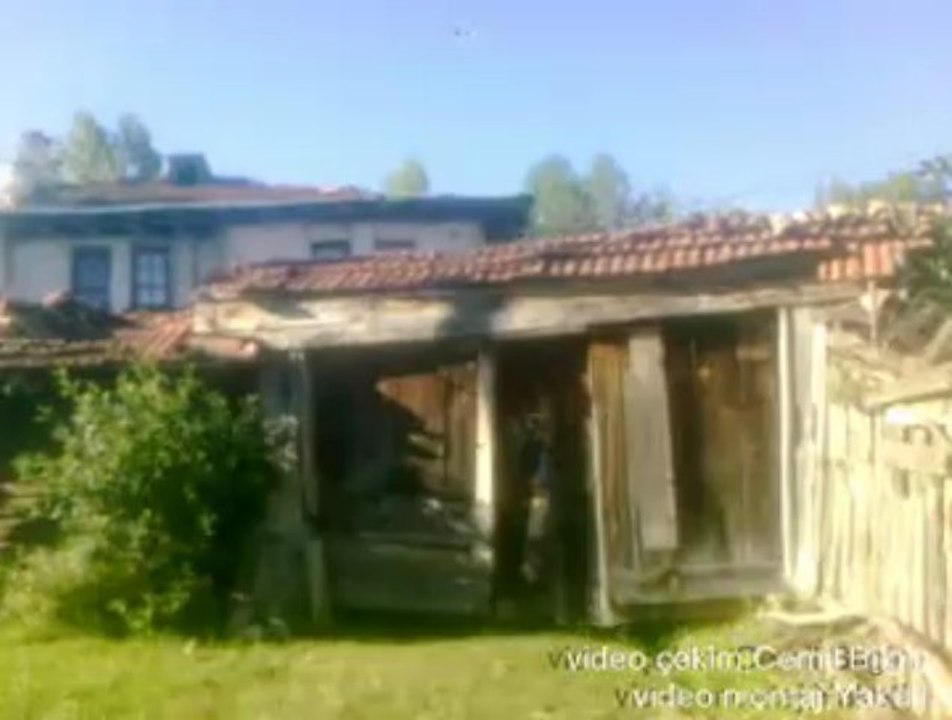 gelmedi divan aşıkcemaldivani