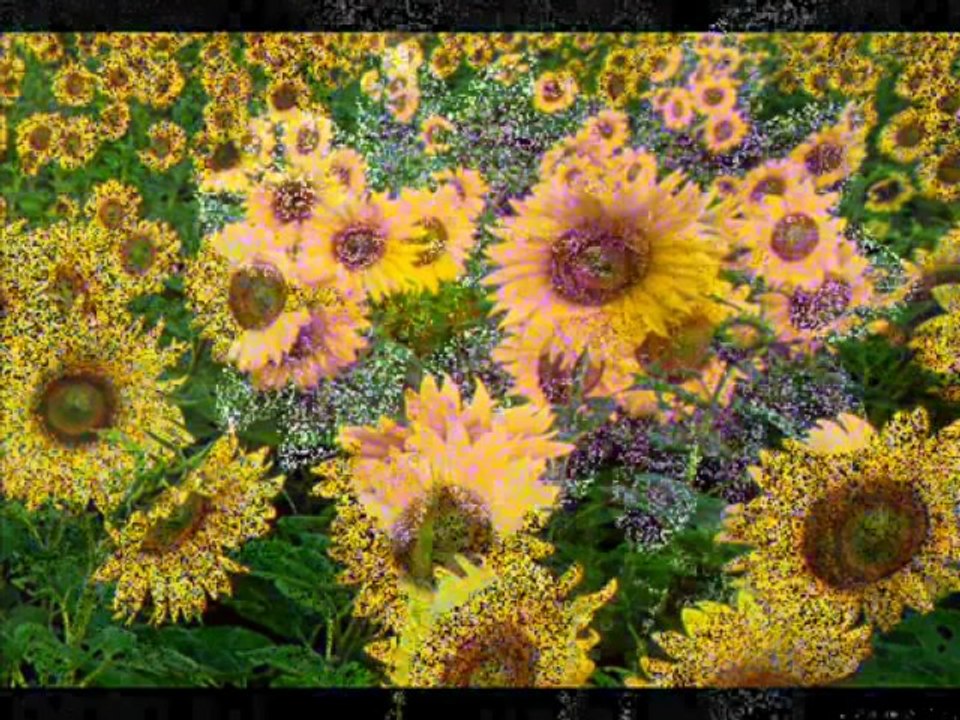 Mihran Kalaydjian Playing on Piano Antaram Tsaghikner