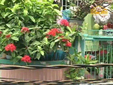 Cho thuê nhà quận Bình Thạnh, nhà cho thuê nguyên căn.