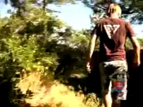 CQB K-9 Slovakian German Shepherd Dogs Puppies