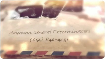 American General Exterminators (617) 846-4131