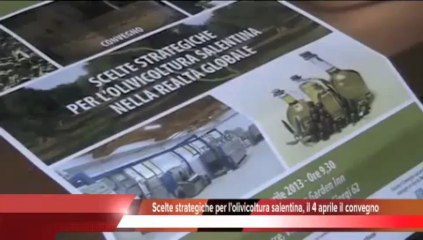 Tg 29 Marzo: Leccenews24 politica, cronaca, sport, l'informazione 24 ore