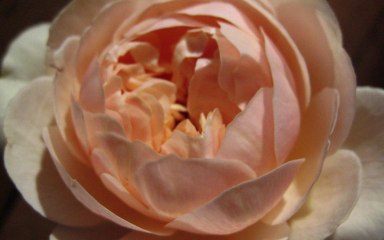 Voyelles continues : 2 syllabes