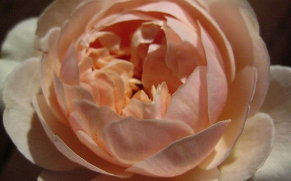 Voyelles continues : 2 syllabes