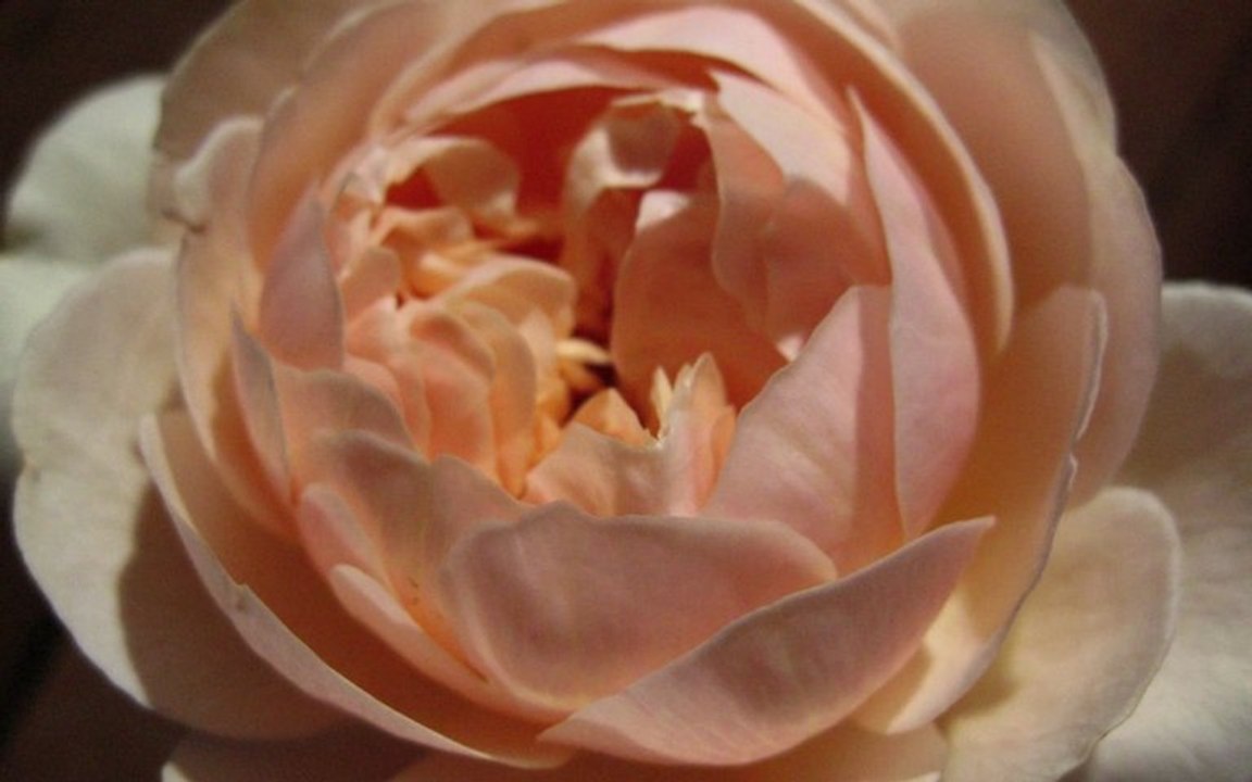 Voyelles continues : 2 syllabes