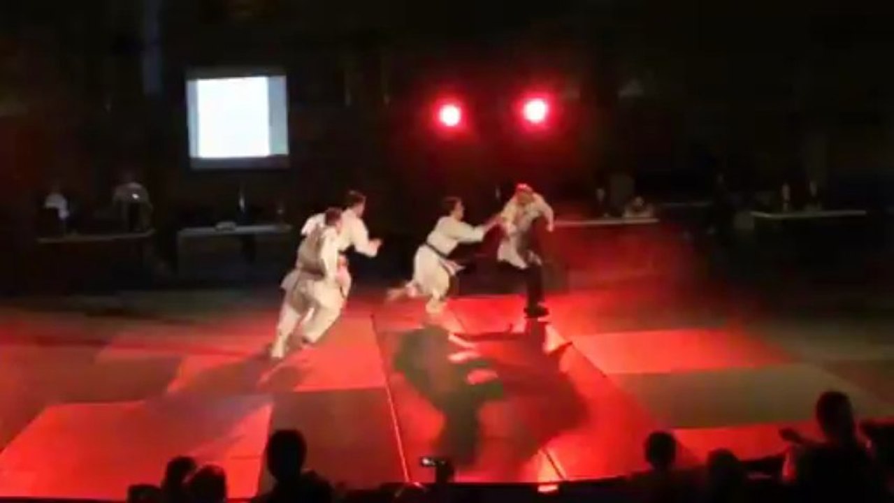 Démonstration du Tai-jitsu Ryu Maubeuge 2013