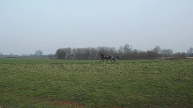 Beautée d'Ondée à l'entrainement - 28/03/2013