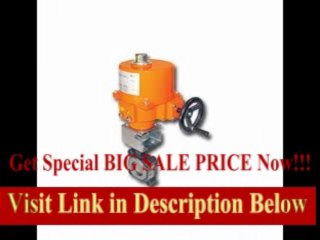 [REVIEW] Butterfly Valve