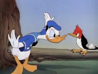 Donald Duck - Donald's Camera